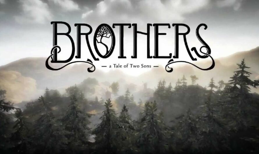 Brothers: a Tale of two Sons